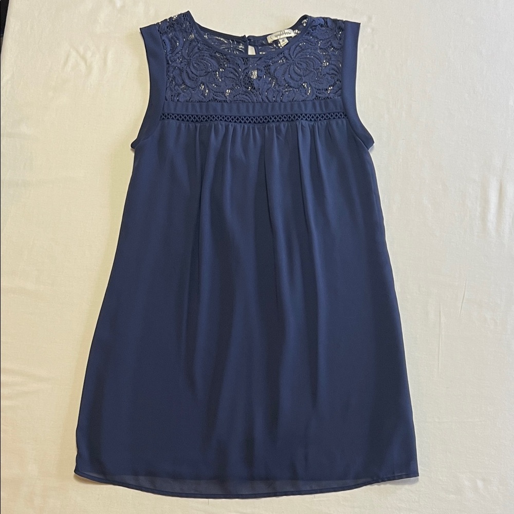 Speechless Navy Sleeveless Lace Yoke Mini Dress